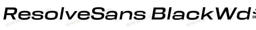 ResolveSans BlackWd字体转换